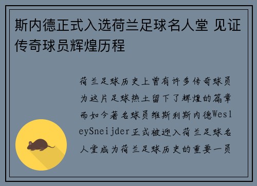 斯内德正式入选荷兰足球名人堂 见证传奇球员辉煌历程