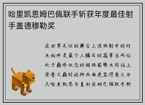 哈里凯恩姆巴佩联手斩获年度最佳射手盖德穆勒奖 哈里凯恩姆巴佩联手斩获年度最佳射手盖德穆勒奖