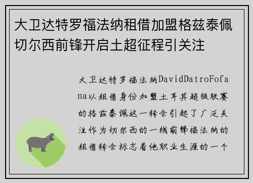 大卫达特罗福法纳租借加盟格兹泰佩切尔西前锋开启土超征程引关注